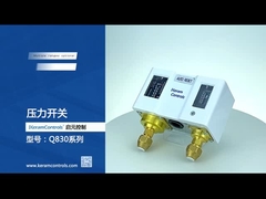 Pressostati regolabili doppi di acciaio inossidabile per la pompa idraulica