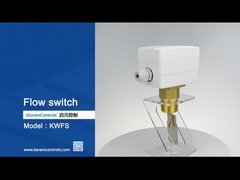 Misurazione del flusso di liquidi Interruttori di flusso con elemento di rilevamento a pagaia - 20C-120C